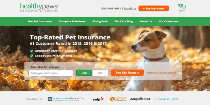 Should You Choose Healthy Paws Pet Insurance? A Full Review